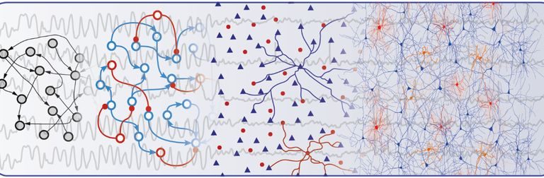 Das Labor in silico: Simulationen eines Neurons